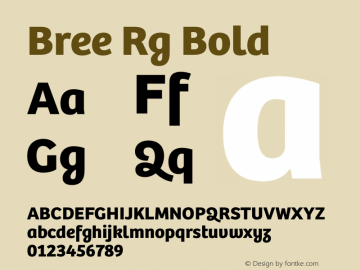Bree Rg Bold Version 1.000 Font Sample