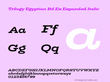 Trilogy Egyptian Bd Ex Expanded Italic Version 1.000图片样张