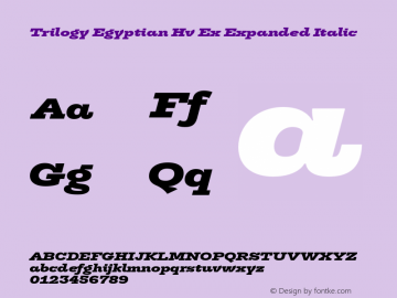 Trilogy Egyptian Hv Ex Expanded Italic Version 1.000图片样张