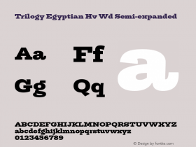 Trilogy Egyptian Hv Wd Semi-expanded Version 1.000图片样张