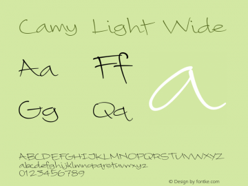 Camy Light Wide Version 1.005图片样张