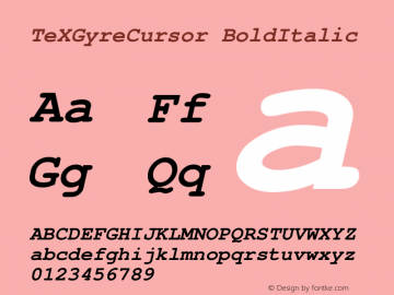 TeXGyreCursor BoldItalic Version 2.004 Font Sample