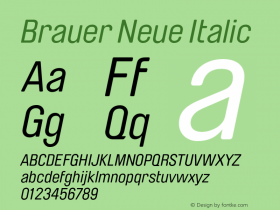 Brauer Neue Italic 1.001 Font Sample