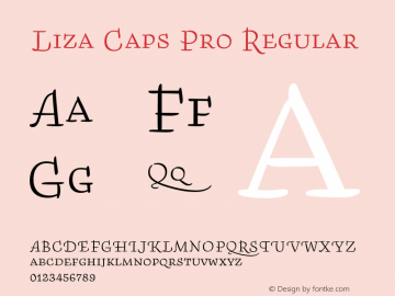 Liza Caps Pro Regular Version 1.000;PS 001.001;hotconv 1.0.57;makeotf.lib2.0.21895图片样张