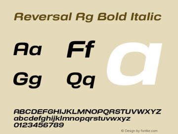 Reversal Rg Bold Italic Version 1.000图片样张