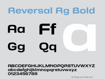 Reversal Rg Bold Version 1.000图片样张
