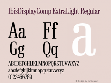 IbisDisplayComp ExtraLight Regular version 1.0图片样张