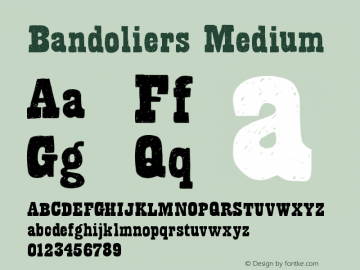 Bandoliers Medium Version 001.000图片样张
