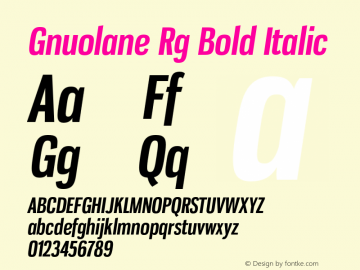 Gnuolane Rg Bold Italic Version 2.002图片样张