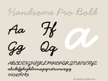 Handsome Pro Bold Version 1.000;PS 001.000;Core 1.0.38 Font Sample