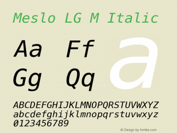 Meslo LG M Italic Version 1.000图片样张