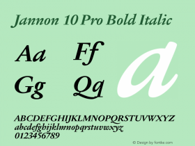 Jannon 10 Pro Bold Italic Version 001.000 Font Sample