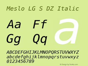 Meslo LG S DZ Italic Version 1.000图片样张