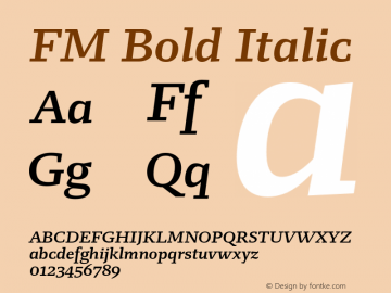 FM Bold Italic Version 1.001 Font Sample