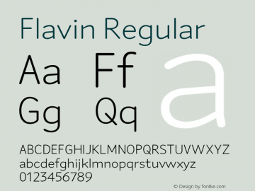 Flavin Regular Version 1.001图片样张