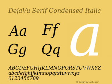 DejaVu Serif Condensed Italic Version 2.33图片样张