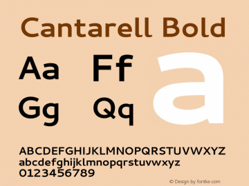 Cantarell Bold Version 001.001 Font Sample