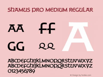 Shamus Pro Medium Regular Version 1.000 Font Sample