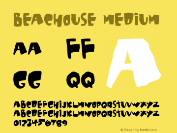 Beachouse Medium 001.000图片样张