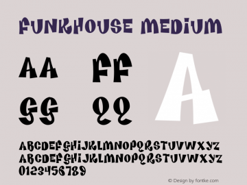 Funkhouse Medium 001.000图片样张