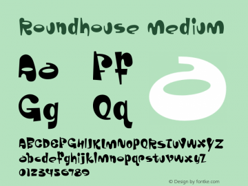 Roundhouse Medium 001.000图片样张