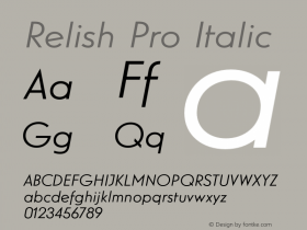 Relish Pro Italic Version 1.000图片样张