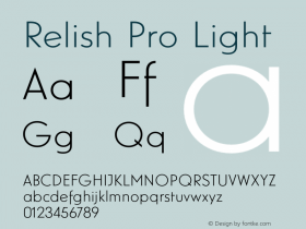 Relish Pro Light Version 1.000图片样张
