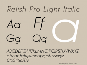 Relish Pro Light Italic Version 1.000图片样张
