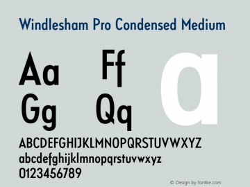 Windlesham Pro Condensed Medium Version 1.000图片样张