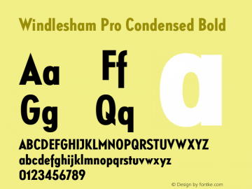 Windlesham Pro Condensed Bold Version 1.000 Font Sample