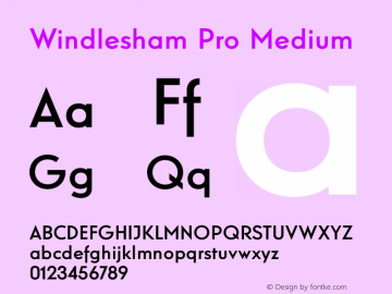 Windlesham Pro Medium Version 1.000图片样张