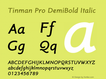 Tinman Pro DemiBold Italic Version 1.012图片样张