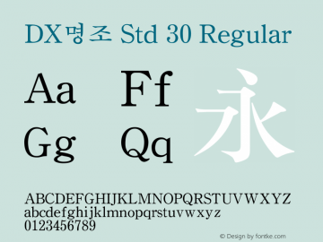 DX명조 Std 30 Regular Version 1.0图片样张