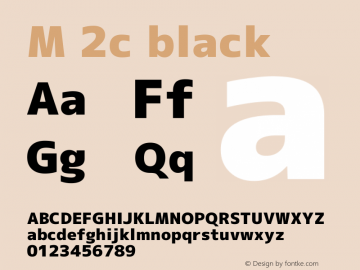 M 2c black Version 1.041图片样张