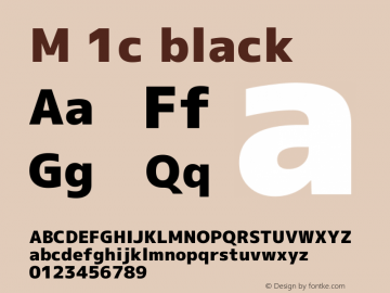 M 1c black Version 1.041图片样张