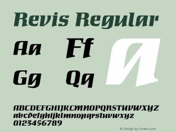 Revis Regular Version 1.10图片样张