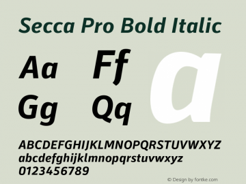 Secca Pro Bold Italic Version 1.001 Font Sample