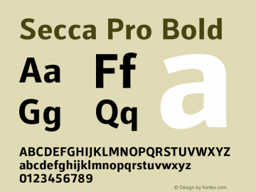 Secca Pro Bold Version 1.001 Font Sample