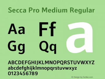 Secca Pro Medium Regular Version 1.001 Font Sample