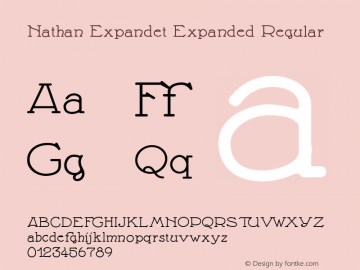 Nathan Expandet Expanded Regular Version 0.001 2009图片样张