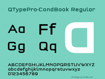 QTypePro-CondBook Regular Version 7.504; 2010; Build 1021图片样张