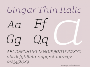 Gingar Thin Italic Version 001.000 Font Sample