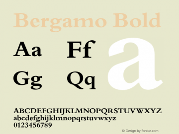 Bergamo Bold Version 1.0 08-10-2002 Font Sample