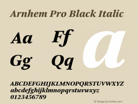 Arnhem Pro Black Italic Version 2.000;PS 001.000;hotconv 1.0.50;makeotf.lib2.0.16970图片样张