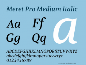 Meret Pro Medium Italic Version 2.000;PS 1.000;hotconv 1.0.50;makeotf.lib2.0.16970图片样张