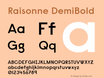 Raisonne DemiBold Version 1.000 Font Sample