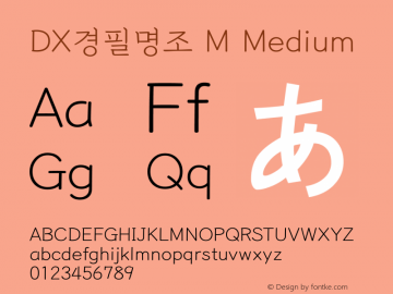 DX경필명조 M Medium 001.100 Font Sample