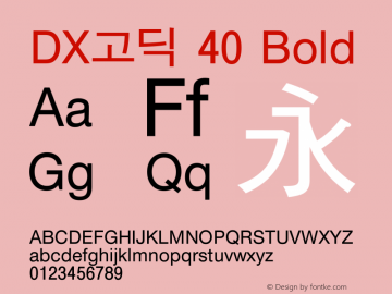 DX고딕 40 Bold Version 1.0图片样张