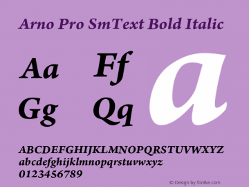 Arno Pro SmText Bold Italic Version 1.011;PS 1.000;hotconv 1.0.50;makeotf.lib2.0.16025 Font Sample