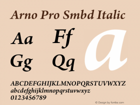 Arno Pro Smbd Italic Version 1.011;PS 1.000;hotconv 1.0.50;makeotf.lib2.0.16025图片样张